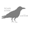 Black Crow Coffee Co Grand Central Dist logo
